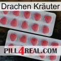 Drachen Kräuter 19
